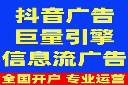 顶级SEM服务公司案例解析